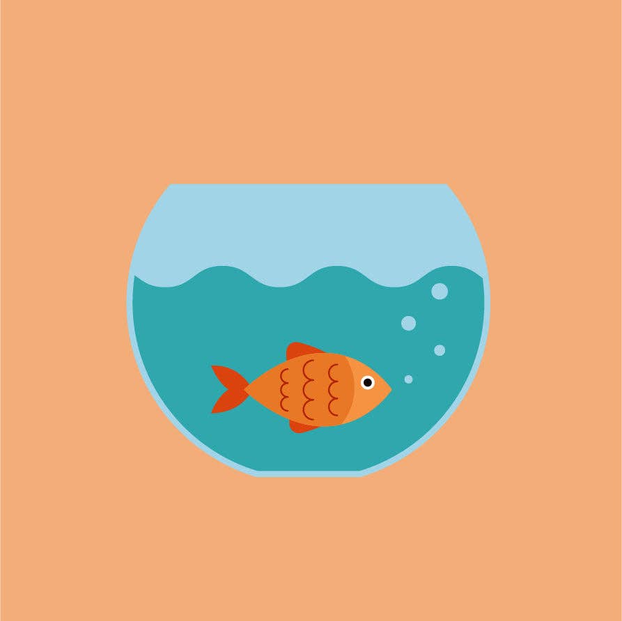 Gertie Goldfish Paint By Numbers Kit