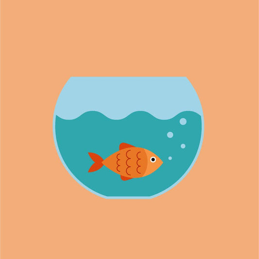 Gertie Goldfish Paint By Numbers Kit