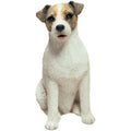 Jack Russell Terrier Rough Sculpture: Brown/White / Figurine
