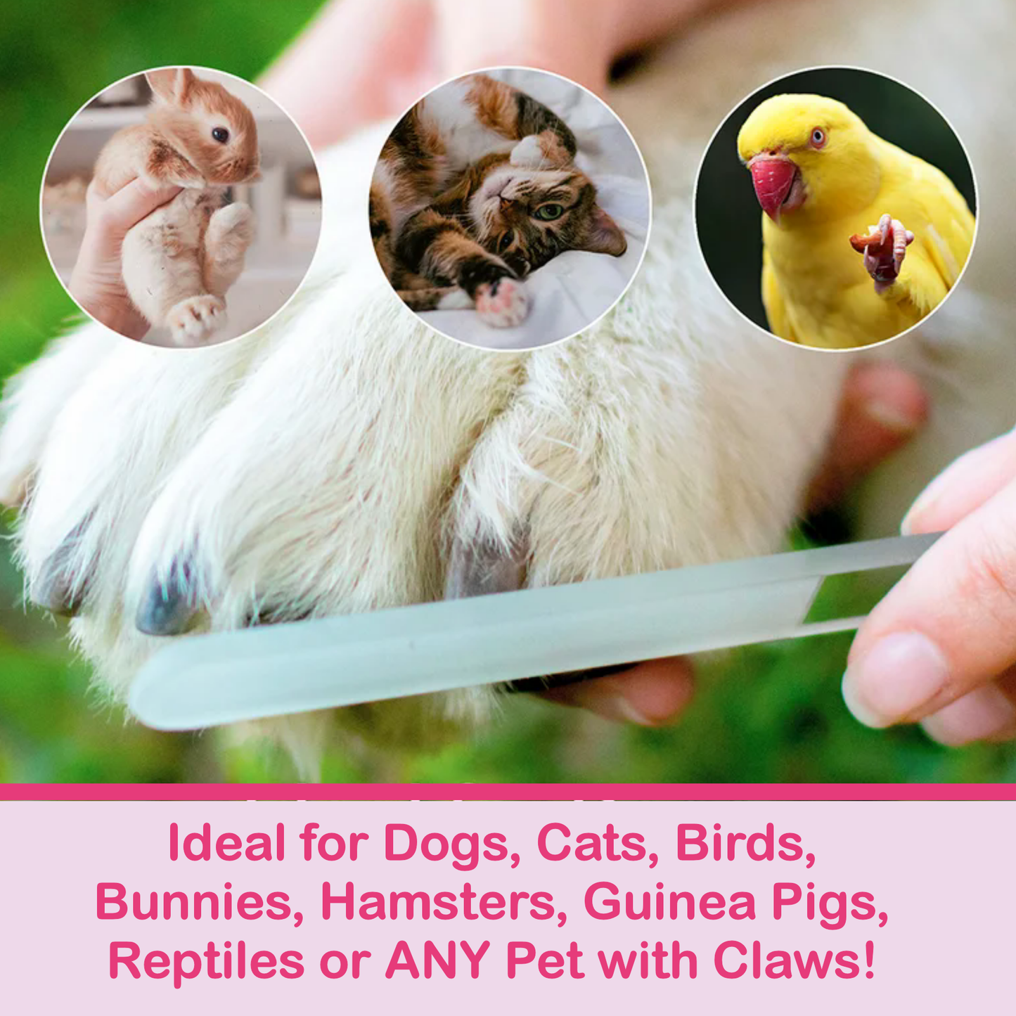 Sunfire Potted Yellow Flowers Hand Painted Crystal Nail File: Large