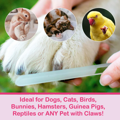 Sunfire Potted Yellow Flowers Hand Painted Crystal Nail File: Large