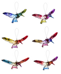 Rainbow Hummingbirds