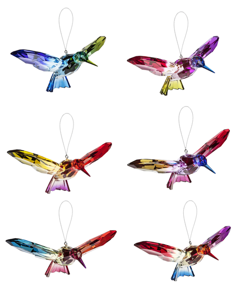 Rainbow Hummingbirds