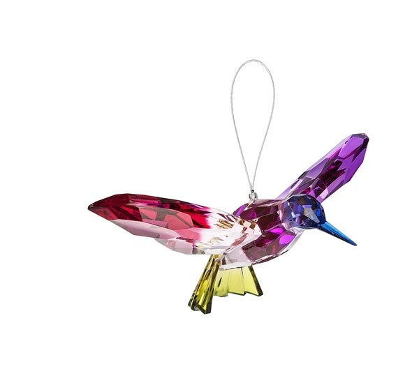 Rainbow Hummingbirds