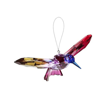 Rainbow Hummingbirds