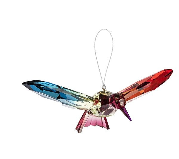 Rainbow Hummingbirds