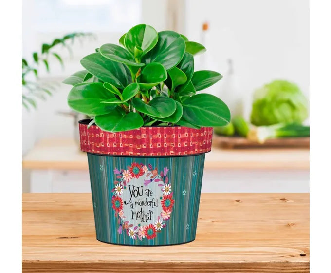 Wonderful Mother 6" Art Pot