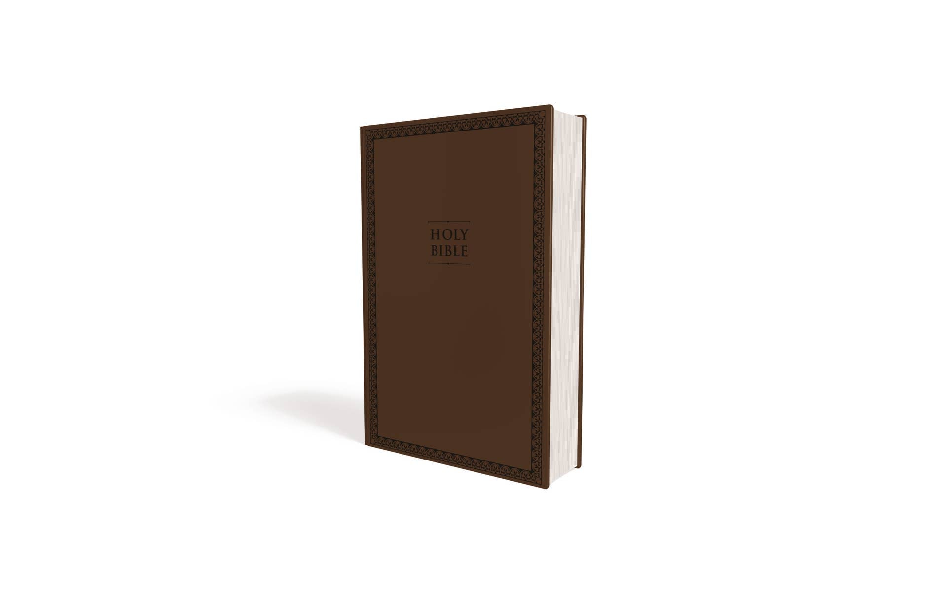 NIV Value Thinline Bible, Large Print, Leathersoft, Brown