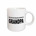 Only the Best Dads Get Promoted..Mug