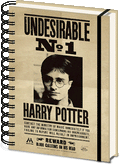 Harry Potter 3d Notebook