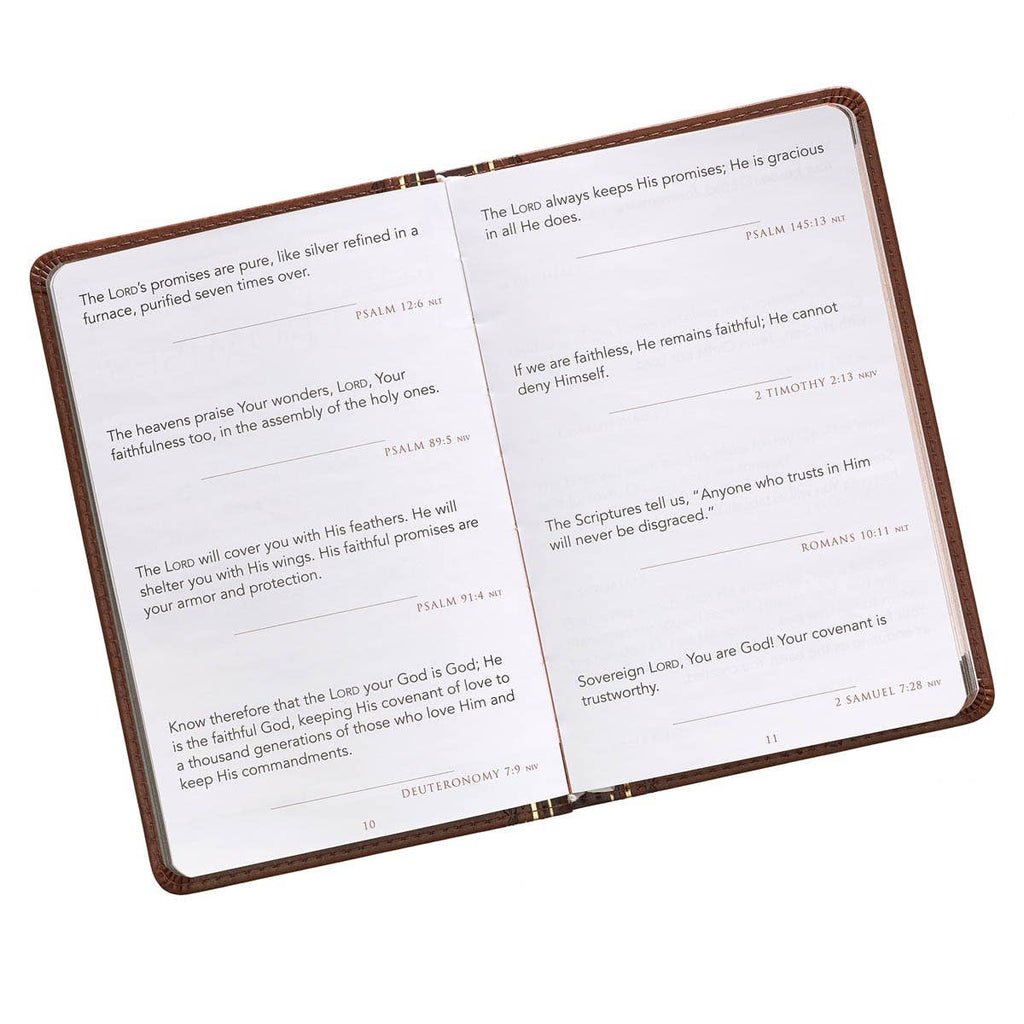 Promises From God for Every Man Devotional