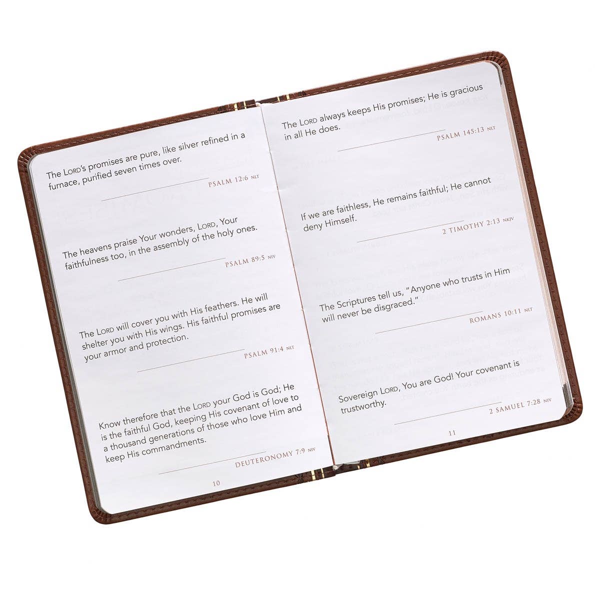 Promises From God for Every Man Devotional