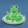 Lily Pad Hopper Glass Frog