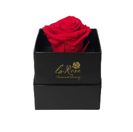 La Rose Preserved Beauty - Single Preserved Red Rose in a Hat Box