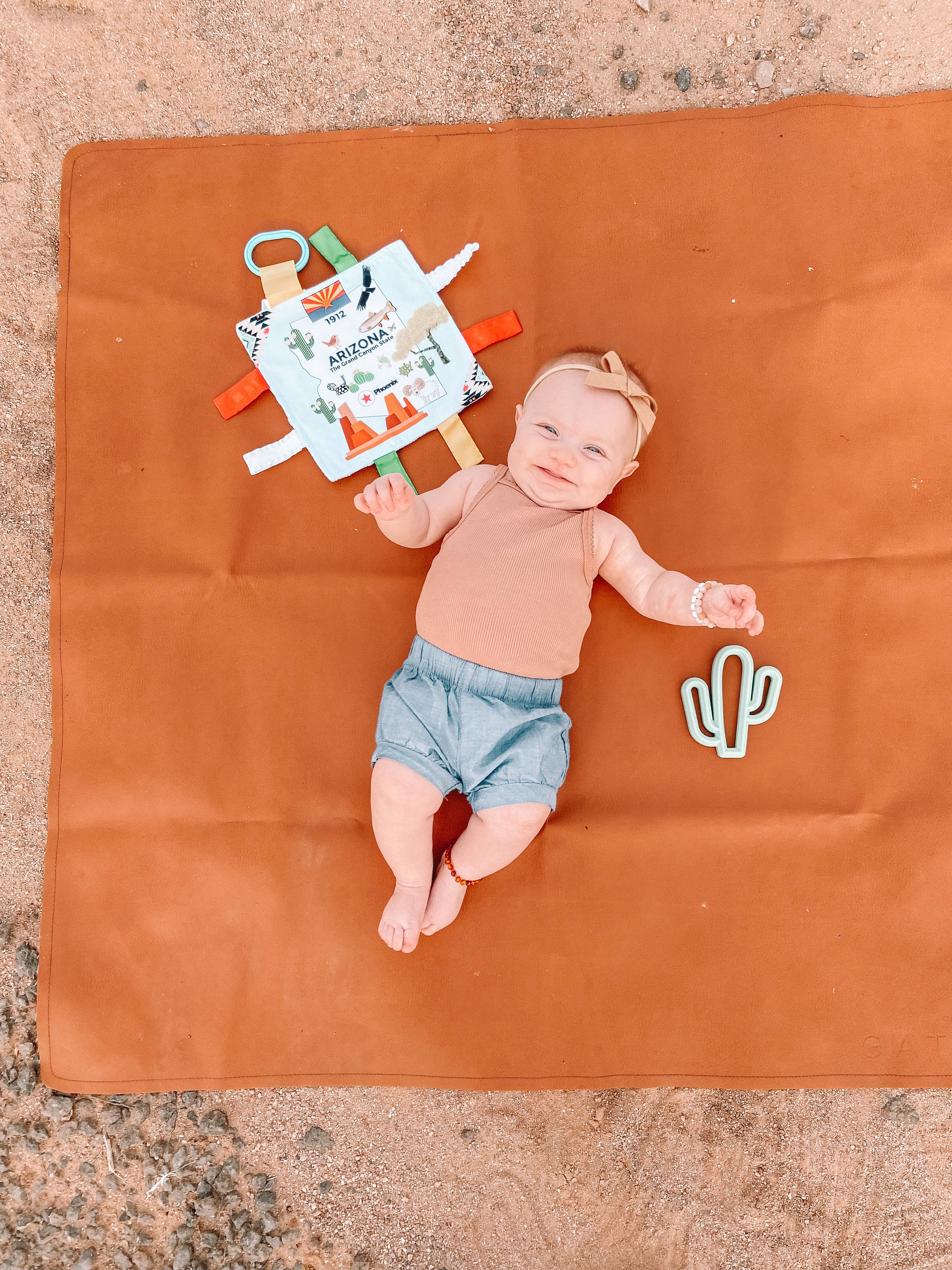 Arizona State Crinkle Tag Square Toy