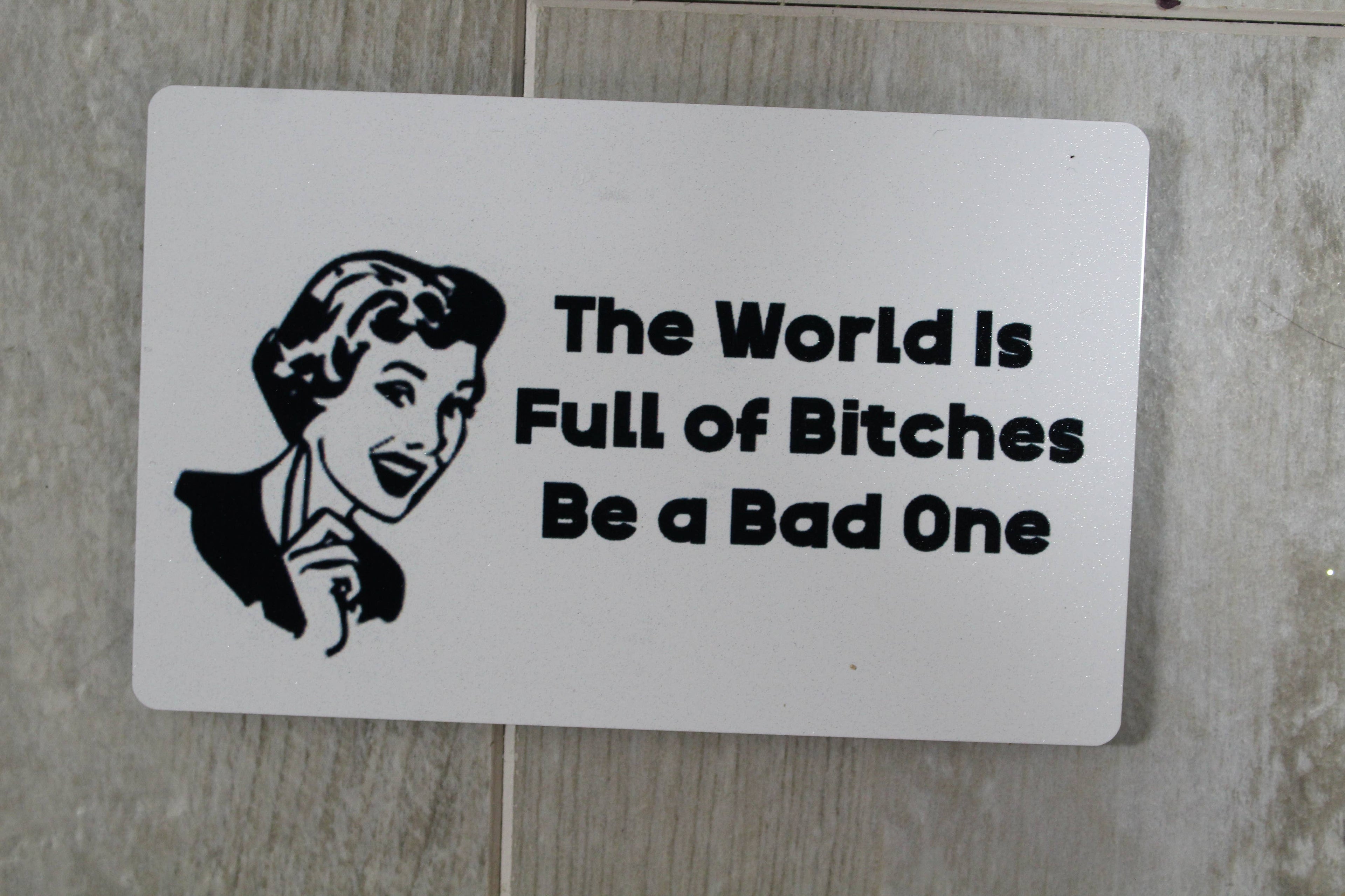 The World Is Full of Bitches Be a Bad One Magnet