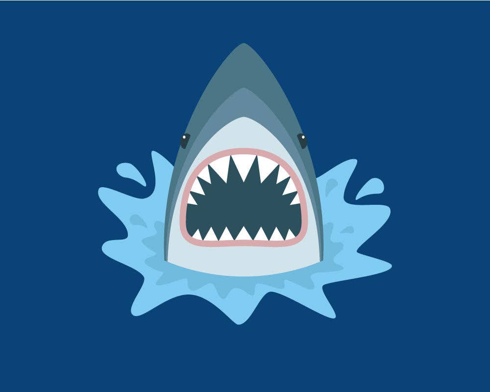 Shorty Shark Paint  By Numbers Kit