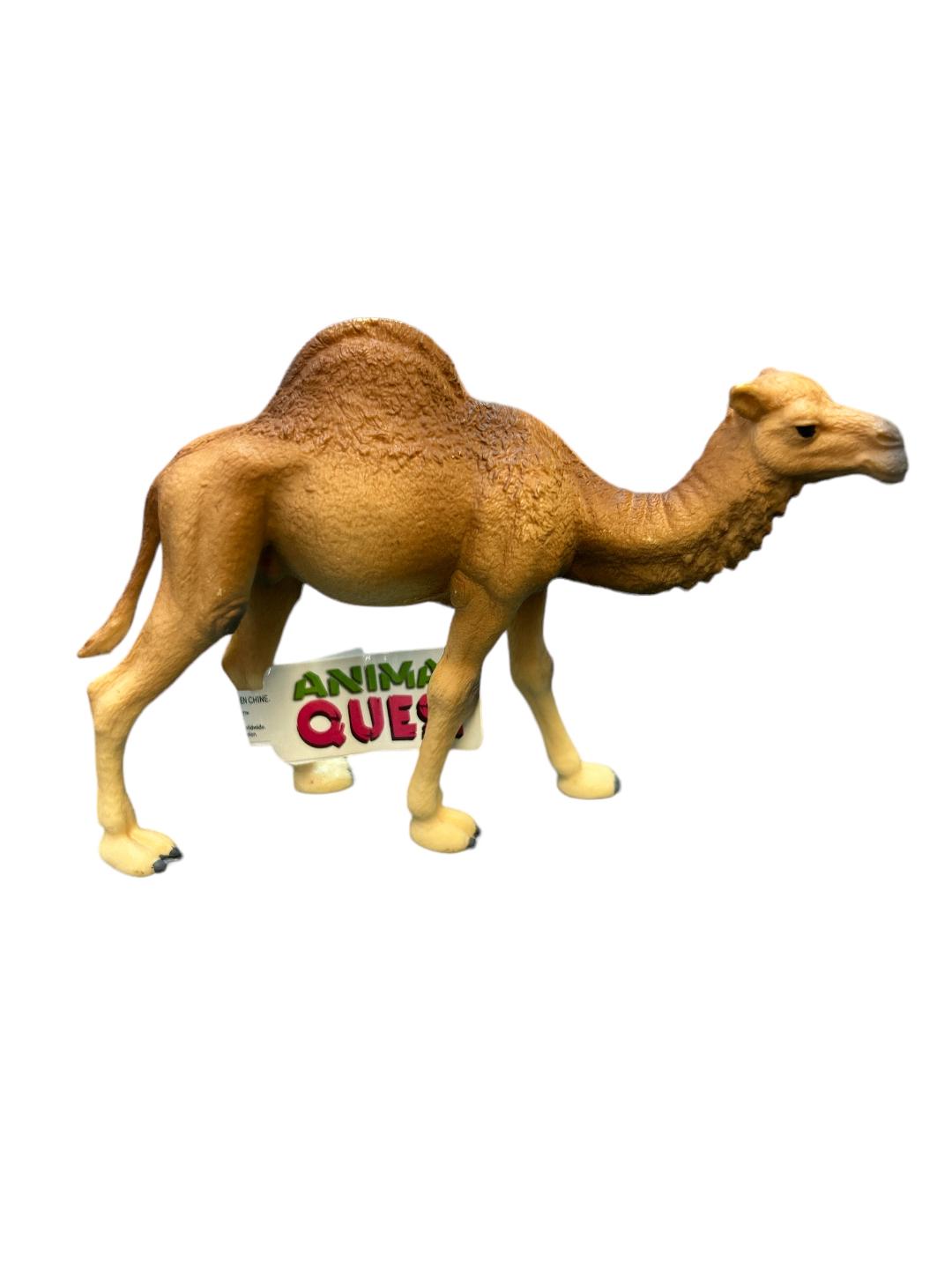 Camel Animal Quest