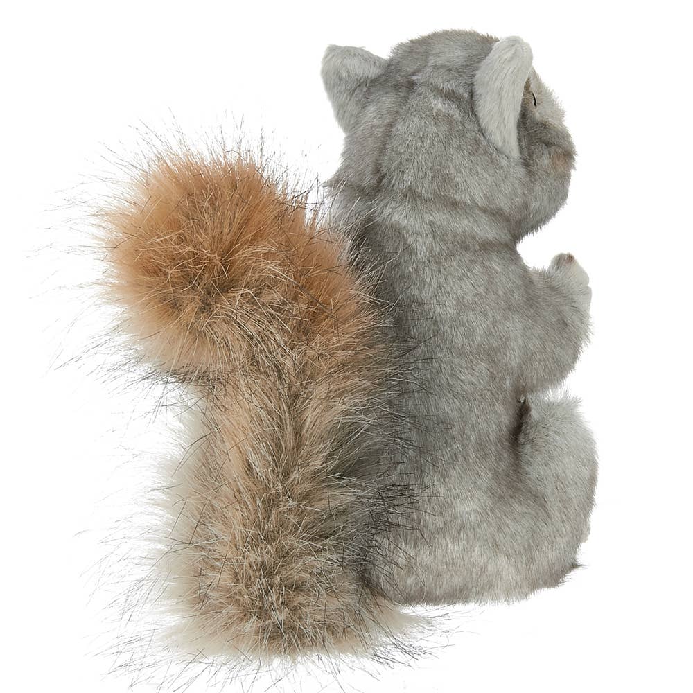 Peanut the Squirrel