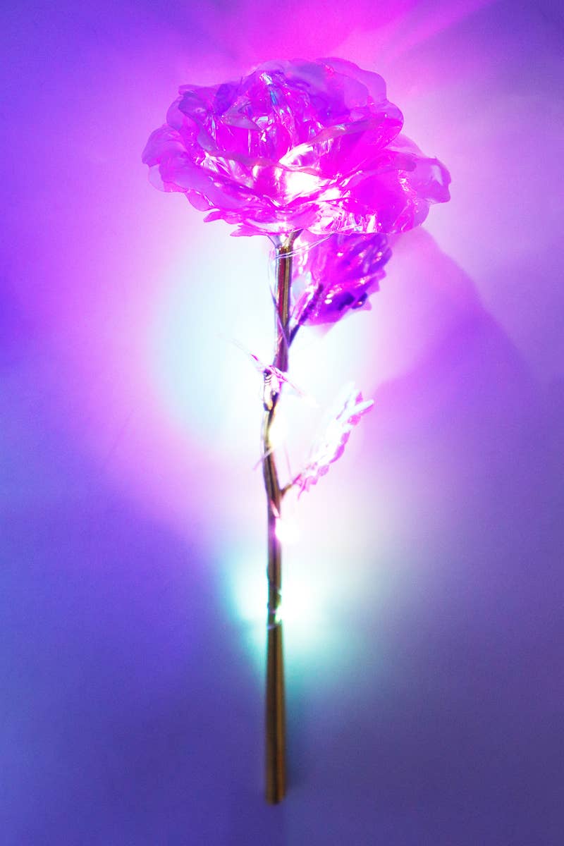 Galaxy Artificial Rose Metallic LED