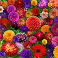Blooming Every Daisy Puzzle