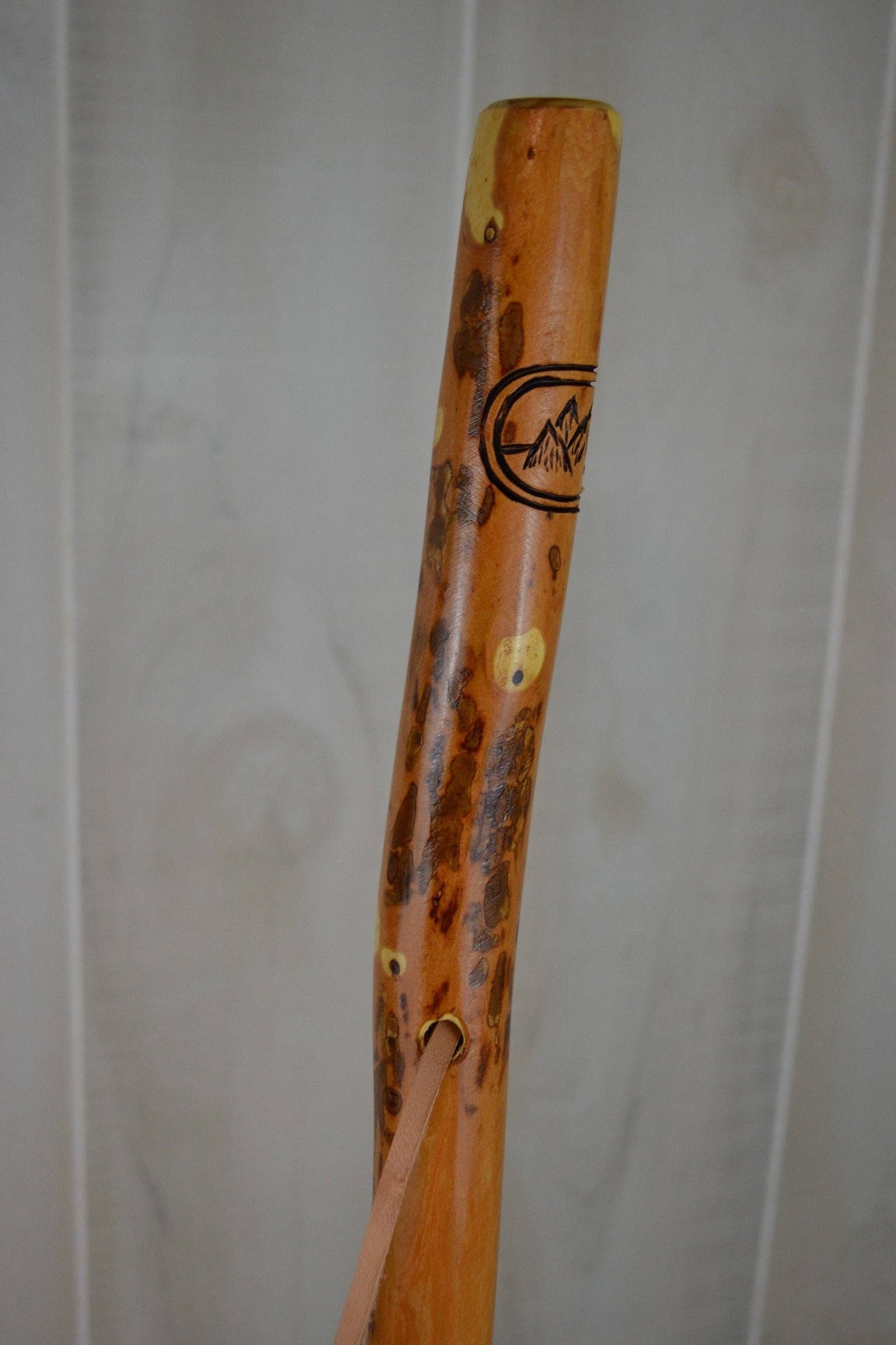 Outdoor Scenery Walking Stick