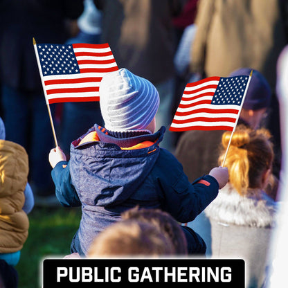 Handheld American USA Stick Flags