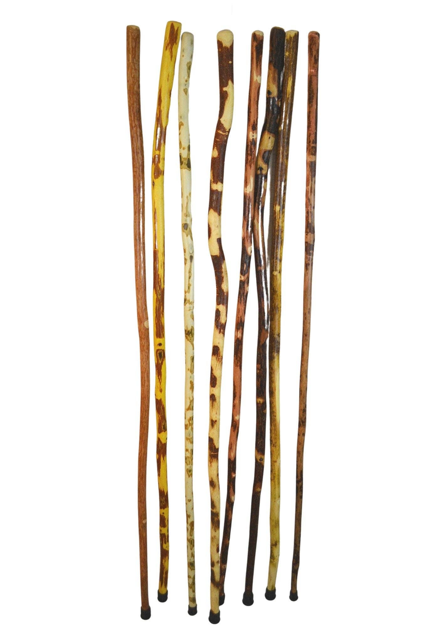 Walking Stick/Staff 56"