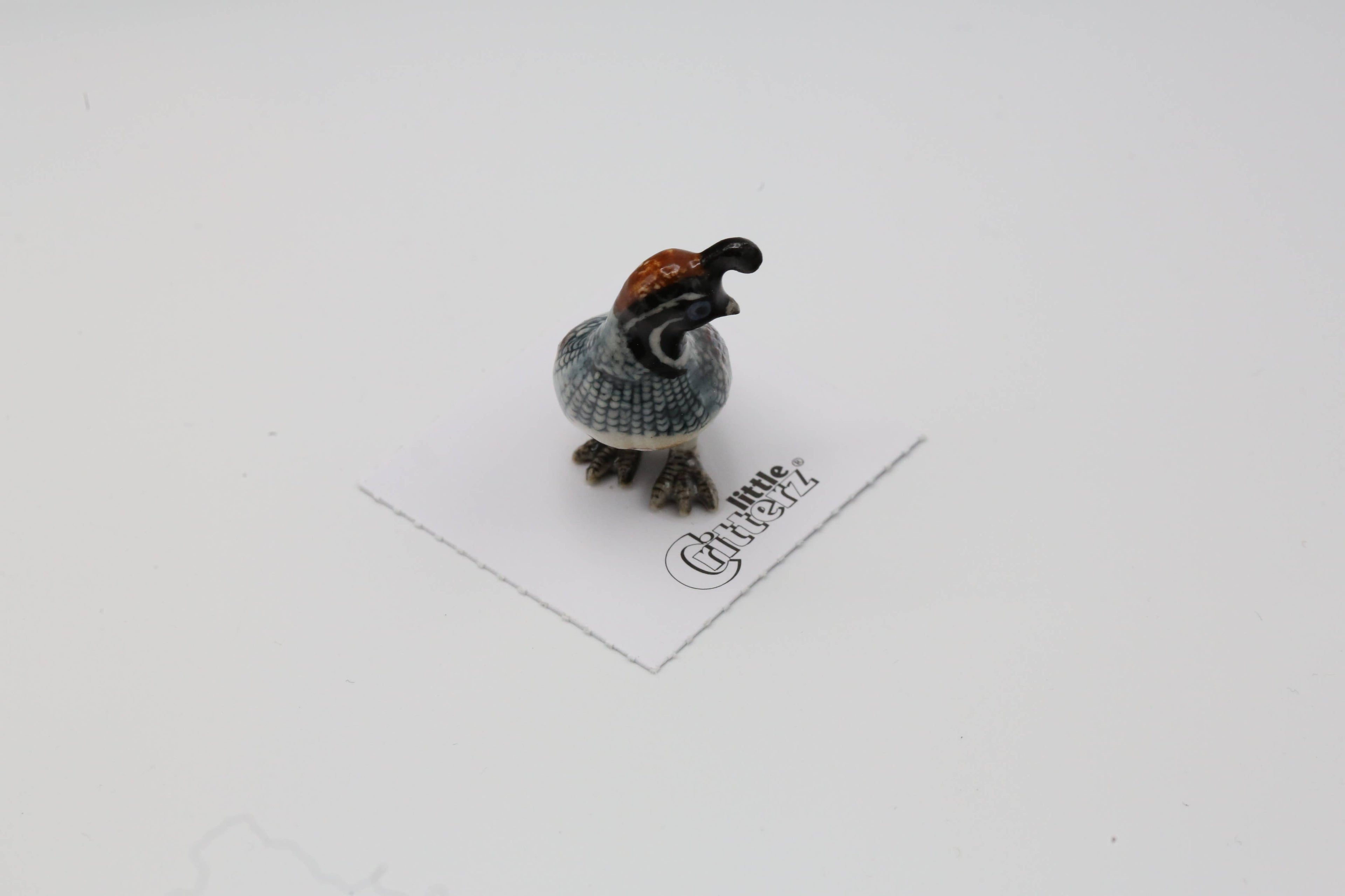Sage Gambel's Quail Porcelain Decorative Figurine Miniature
