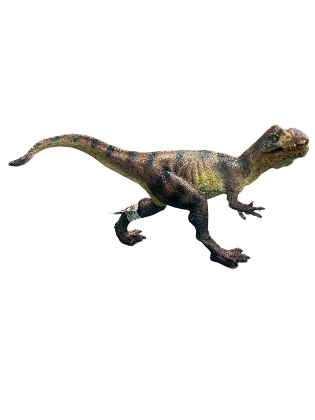 Dinosaur Animal Quest