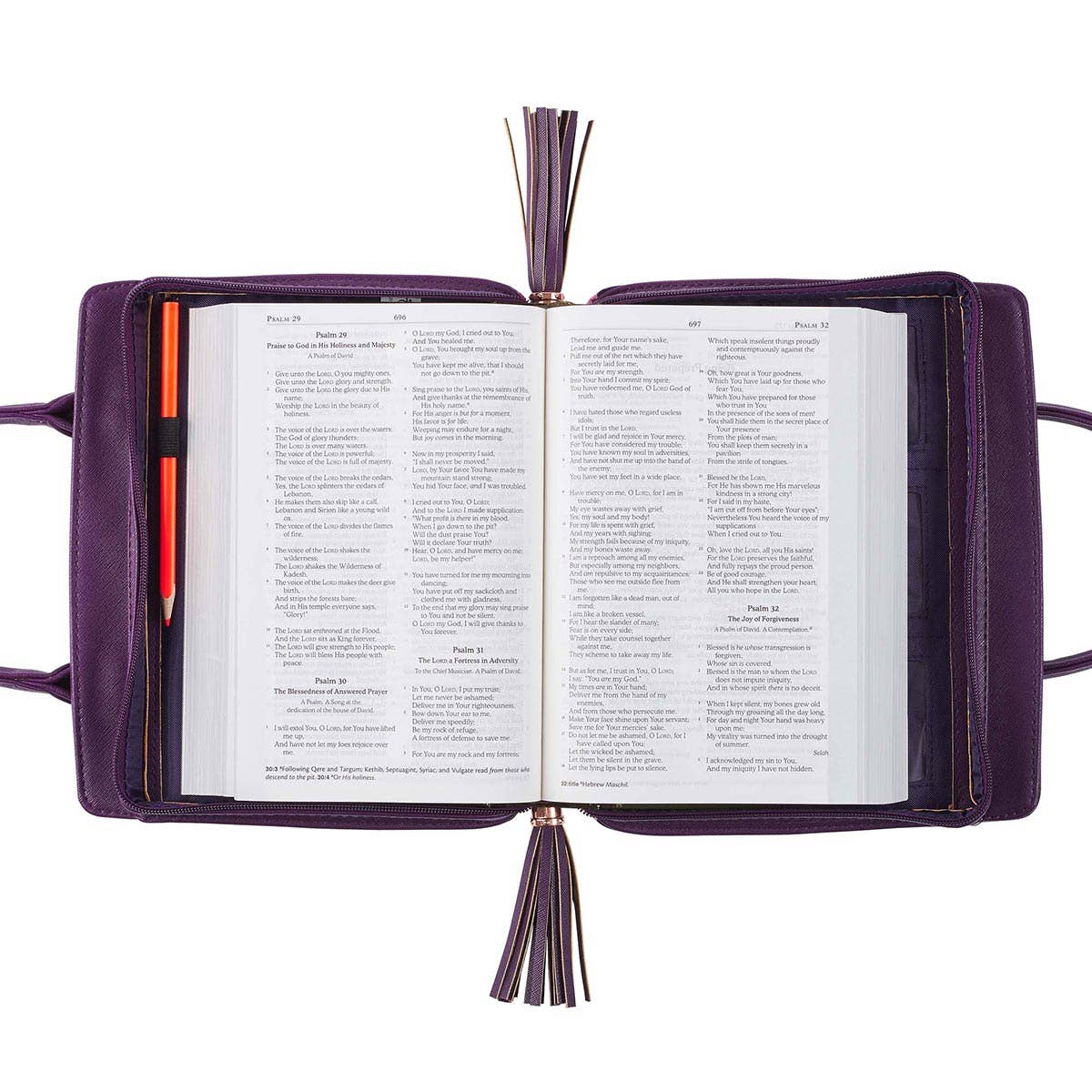 Blessed Purse Style Large Bible Cover