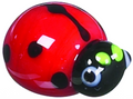 Ladybug Pocket Charm