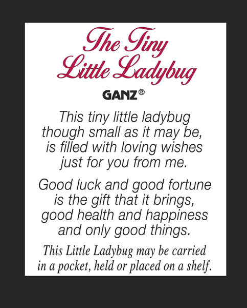 Ladybug Pocket Charm
