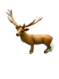 Elk Animal Quest