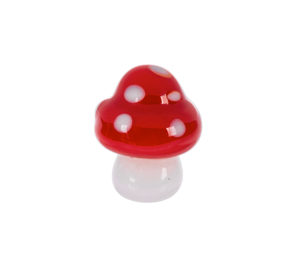 The Mighty Little Mushroom Pocket Charm
