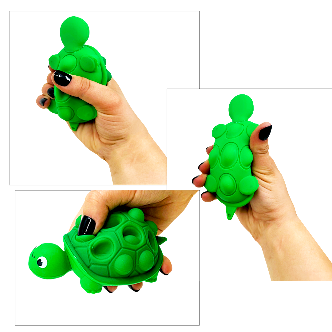 So Much Fun! Fidget Turtle Pop Sensory Toy