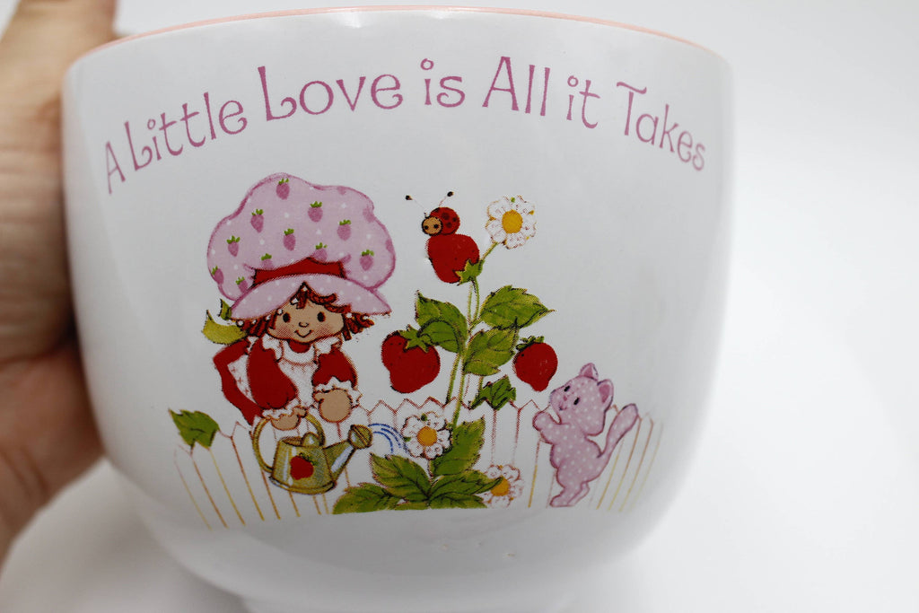 Strawberry Shortcake "A Little Love" 20oz Ceramic Ramen Bowl