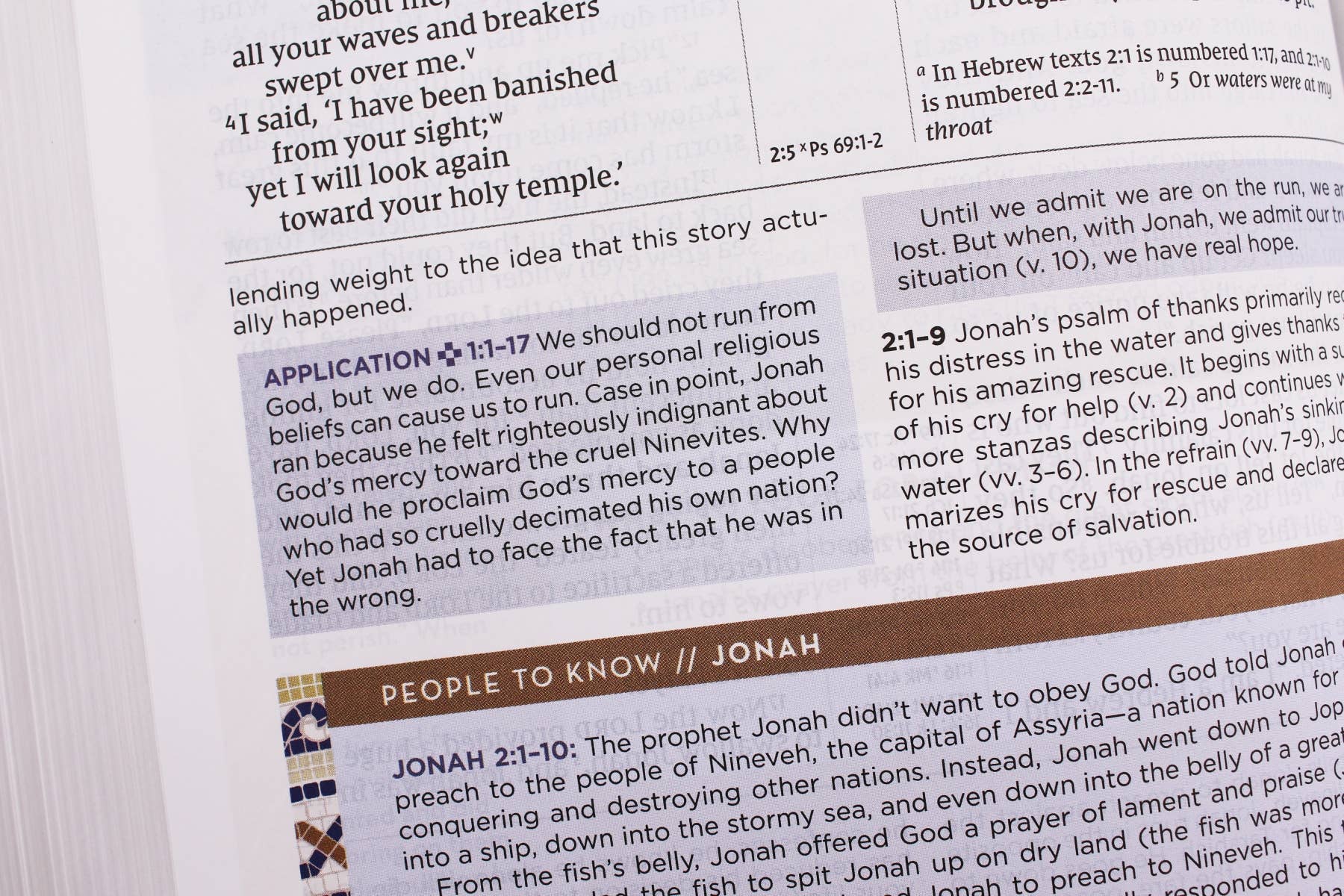 NIV Application Bible Leathersoft Brown Red Letter