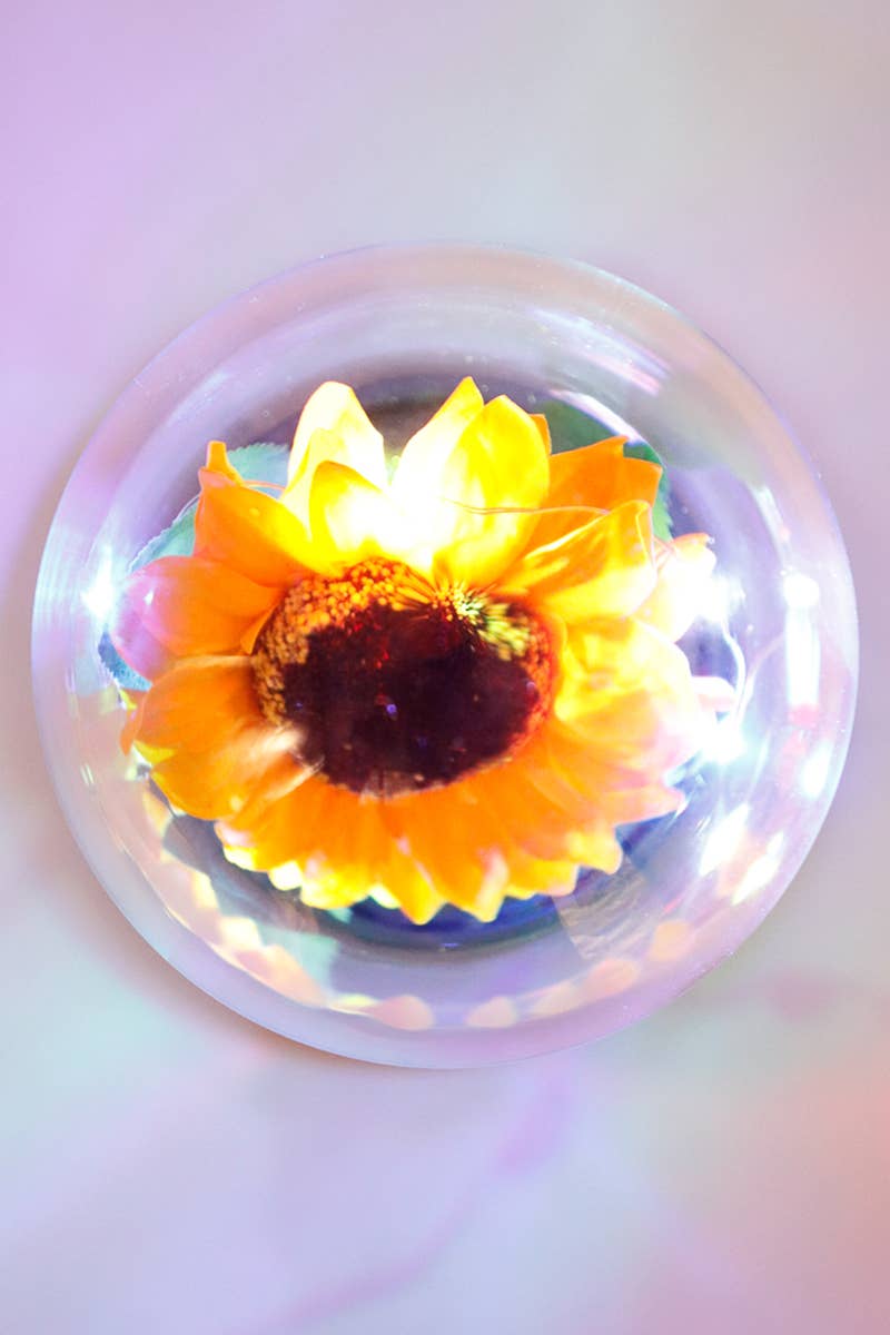 Sunflower Glass Dome LED Light