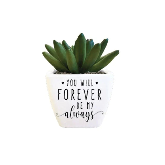 You Will Forever Be My Always Sentiment Succulent
