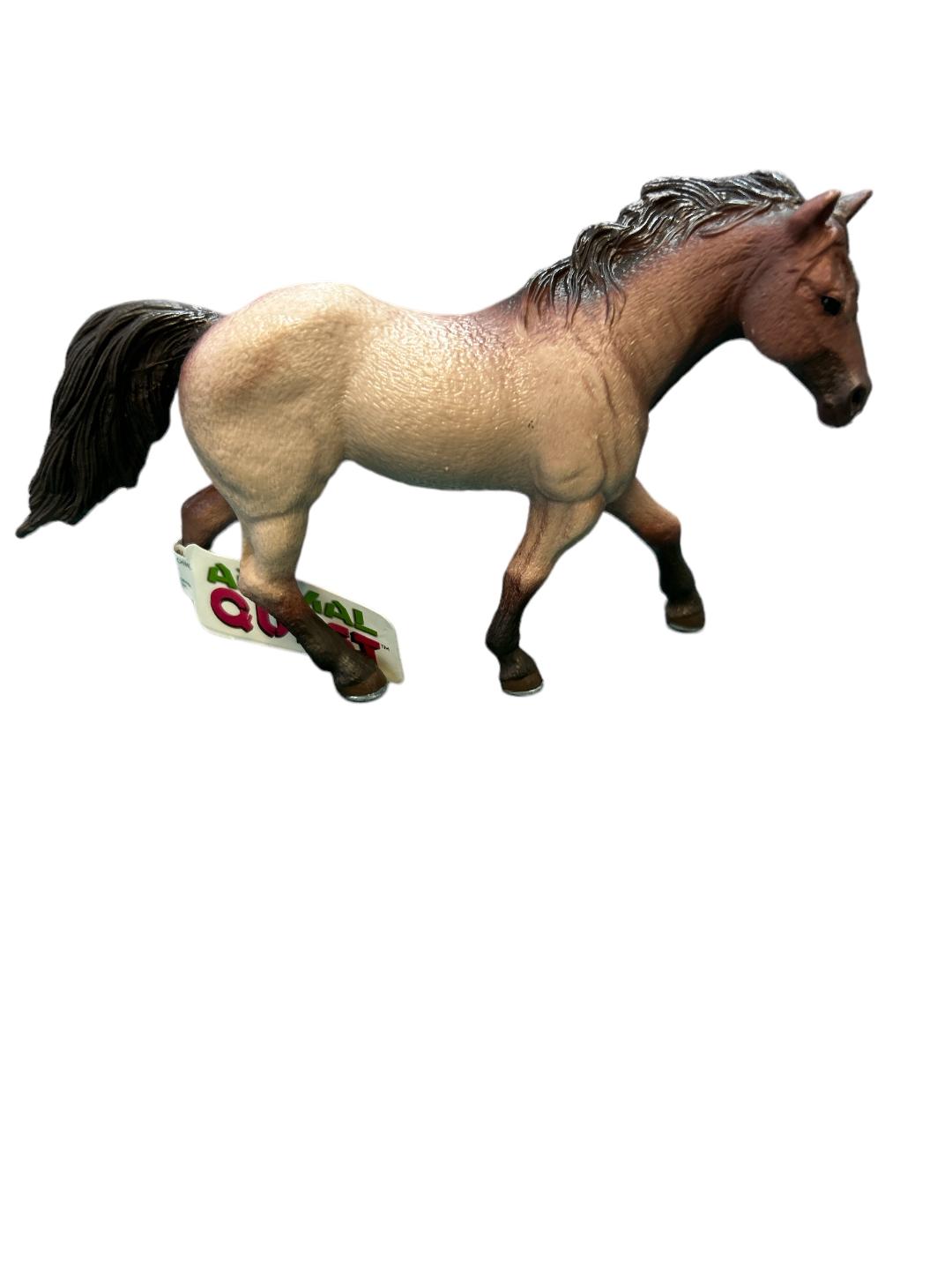 Horse  Animal Quest