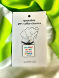 Delight in the little things pet charms