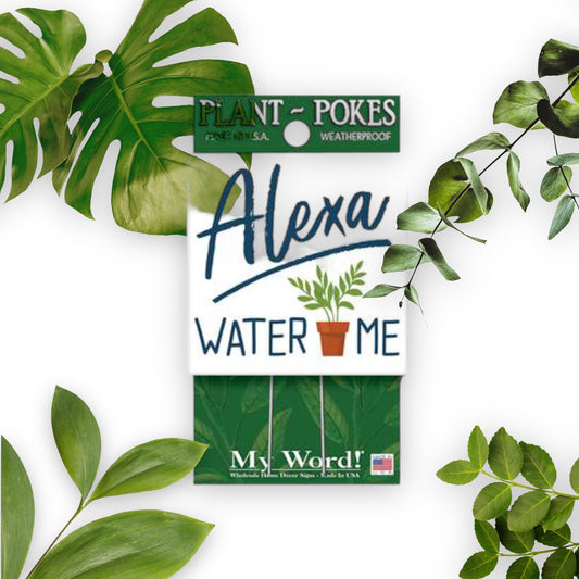 Alexa Water Me Plant Poke/ Garden Accessory