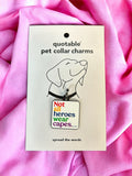 Not all heroes pet charm