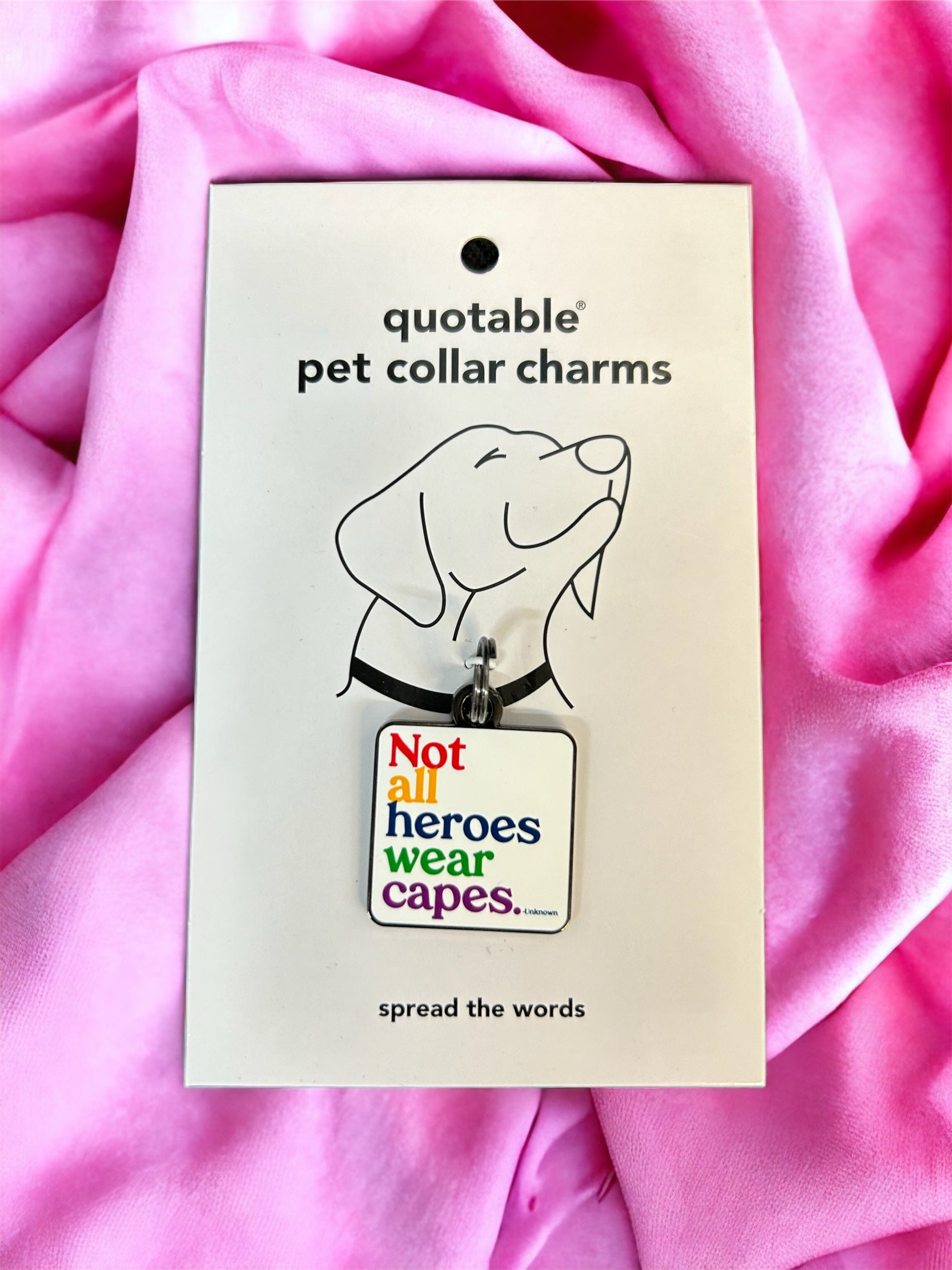 Not all heroes pet charm