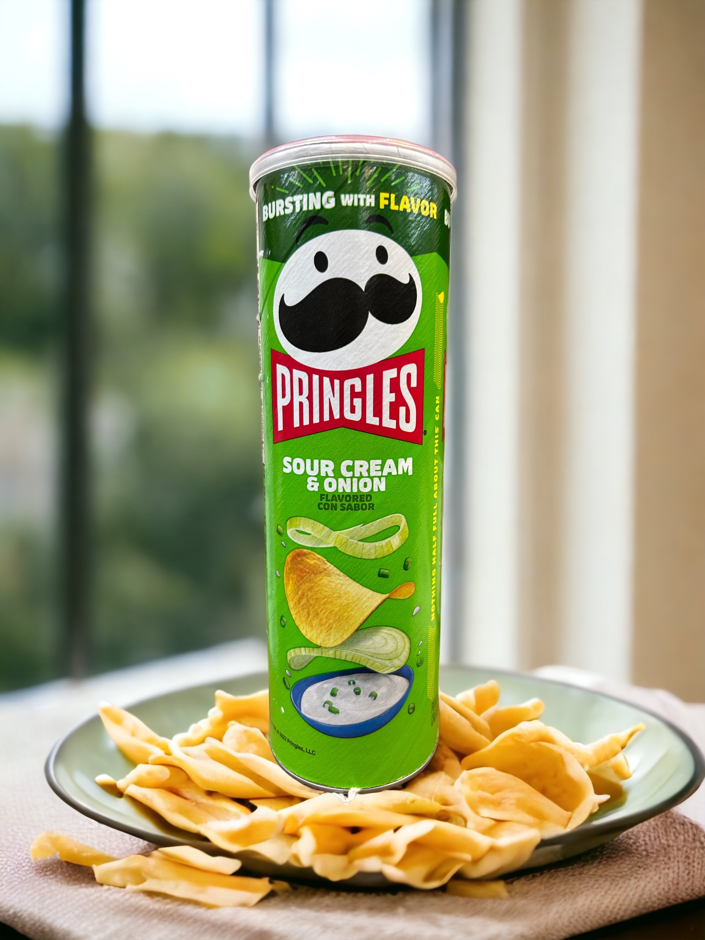 Pringles Can Safe
