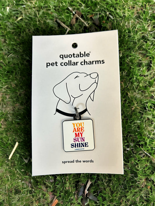 You are my sunshine pet charm