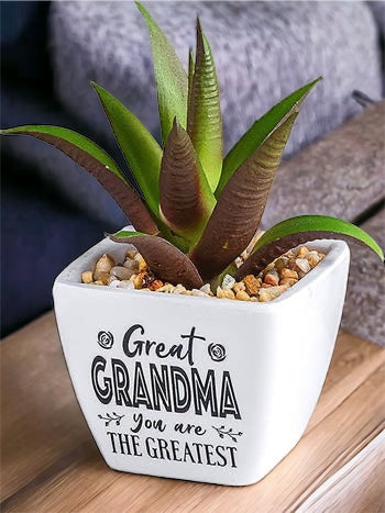 Great Grandma You Are The Greatest...Sentiment Succulent