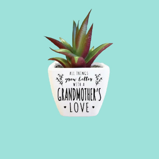 All Things Grow Better With A Grandmother's Love Sentiment Succulent