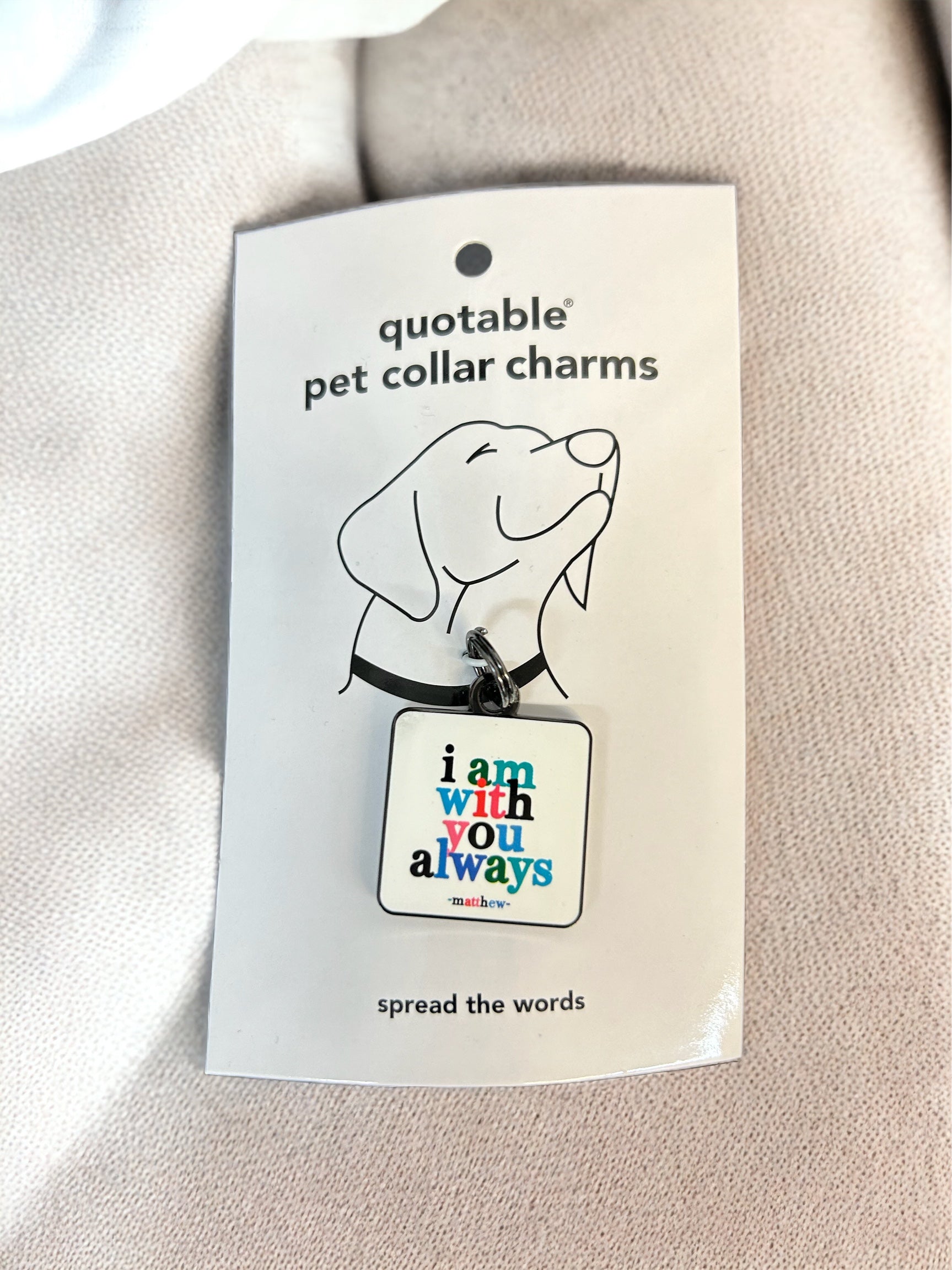 I am with you always pet charm